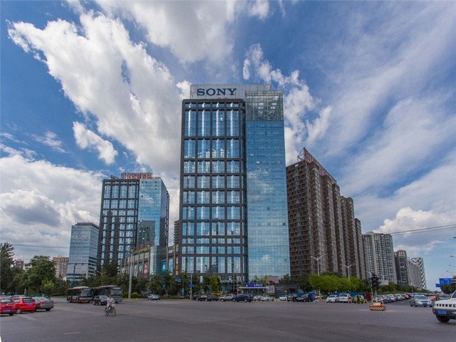 金山区水培式苔藓墙厂家